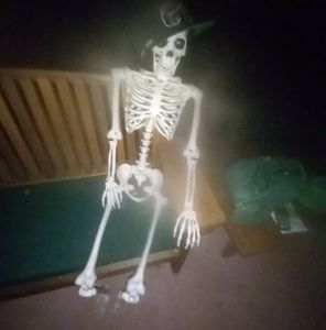 Meet your Posher, Abe